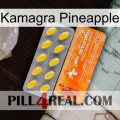 Kamagra Pineapple new05